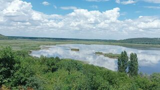 Екоминистърът ще отговори какви мерки взима за спасяването на резервата "Сребърна"