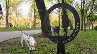 Столичният инспекторат е засилил контрола над стопаните на кучета