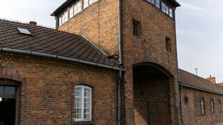Полша започва разследване срещу евродепутат, който отрече нацистки престъпления