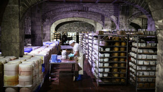 Фотогалерия: Битката за Pecorino Romano