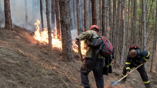 Какво трябва да знаят доброволците при гасене на пожари (от първо лице)