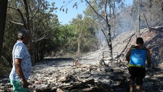 Близо 270 пожара са потушени в страната през последното денонощие