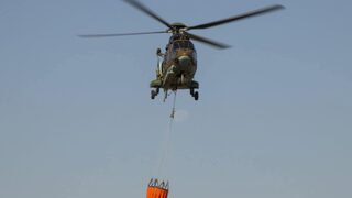 От пожара в Струмяни са засегнати 30 хил. дка площи