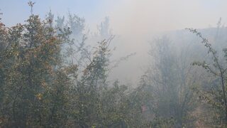 Правителството отдели 900 хил. лв. за помощи за пострадали от пожарите