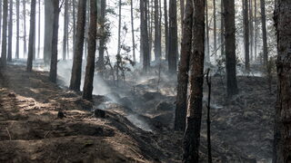 Ново огнище се разгоря край Илинденци