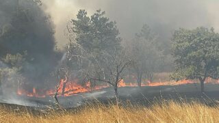 Частично бедствено положение е обявено заради пожара в Българово
