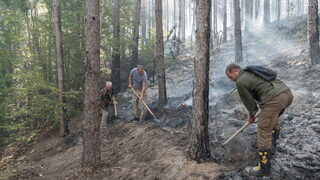 Пожар гори край Велико Търново, огън пламна и в близост до аквапарк в Несебър
