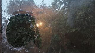 Неизвестни нанесоха щети на дома и колата на активистка срещу ТЕЦ "Бобов дол"
