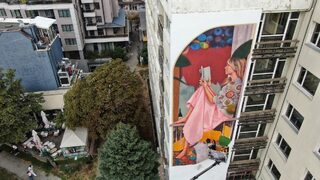 Снимка на деня: Стенописно изкуство облагородява грозни <span class="highlight">панелки</span>