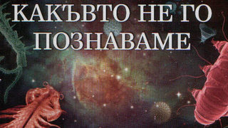 Животът, какъвто не го познаваме