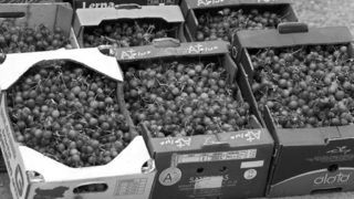 Продават на търг "Булгарплодекспорт"