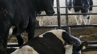 Държавата ще проверява фермите за злоупотреба със субсидии
