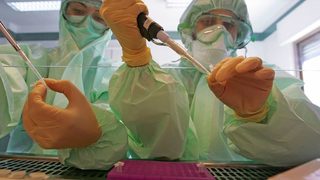 Лаборатория ще проследява произхода на румънците 150 000 години назад във времето