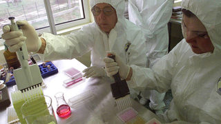 Стаж в Европейската <span class="highlight">агенция</span> <span class="highlight">за</span> <span class="highlight">лекарствата</span>