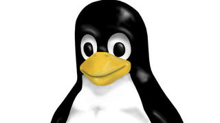 Linux Kernel 2.6.30 е вече факт