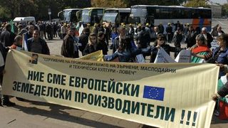 Зърнопроизводители от Пловдивско протестираха заради неизплатени субсидии