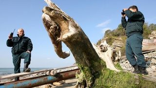 Морска конференция започва във Варна