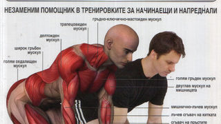 Fitness анатомия