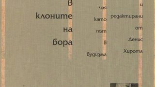 Вятър в клоните на бора