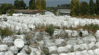 Днес може да се разбере кой още ще приема софийски бали