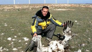 Ветропаркът на Калиакра взе първата си жертва