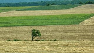 Европа удължи действието на програма САПАРД