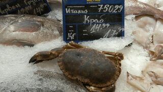 За омарите, залеза на капитализма и правенето на деца