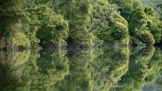 Продължава унищожението на биоразнообразието в ЕС, според ЕК