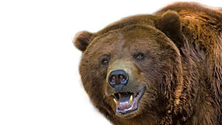 Финансирането с облигации става скъпо удоволствие