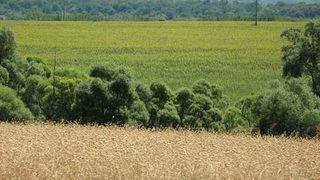 Агроведомството утрои числото на замените