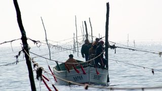 България няма да намали улова на калкан