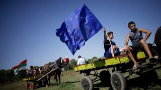 Европейските млекопроизводители протестират за повече субсидии
