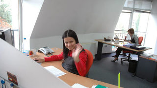 <span class="highlight">Европейска</span> <span class="highlight">фондация</span> търси статистик