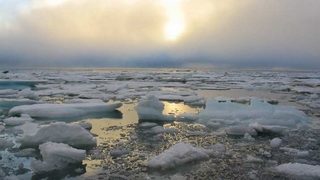 Арктическият лед изтънява