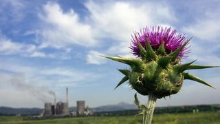 Гръцки ловци блокираха проект за соларен парк в Южна Гърция
