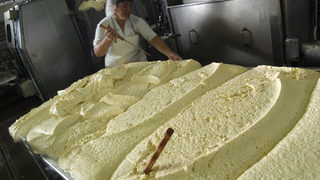 България иска двегодишно отлагане на евростандартите за млечни продукти