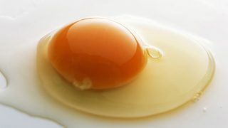 Фестивалът "Вкусове на Варна" започва с ароматно пътешествие!