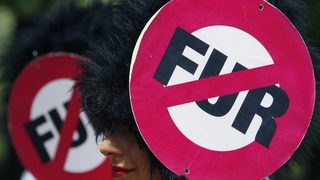 ПЕТА иска да превърне бивш затвор в музей на пилето