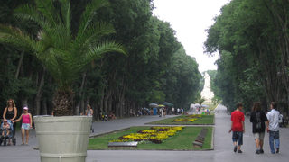 Варна планира нови паркове