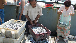ЕК обяви риболовните <span class="highlight">квоти</span> за Черно море за 2010 г.