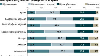 Експерти: Консолидацията е единственото решение за търговските вериги