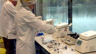 Франция започна дебат за регламент при вземането и съхранението на стволови клетки от пъпната връв