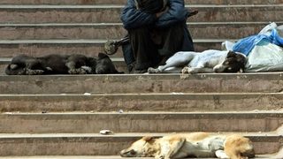 Близо 40 процента от арабите живеят мизерно