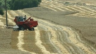 Фондът за земя "Агро финанс" ще раздава дивиденти