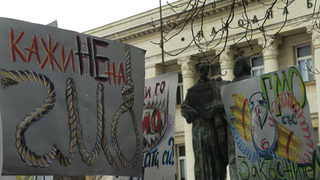 Първият общ референдум в ЕС може да е за ГМО