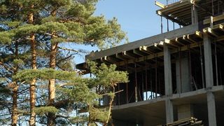 В гората следите се губят