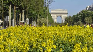 Фотогалерия: "Шан-з-Елизе" се превърна в зелена ферма
