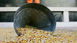 ЕС ще промени из основи системата за одобрение на ГМО