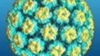 По-ефективно изследване за хронична инфекция с <span class="highlight">HPV</span>-тест
