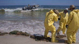 BP е дала 5 млрд. долара обезщетения за разлива в Мексиканския <span class="highlight">залив</span>
